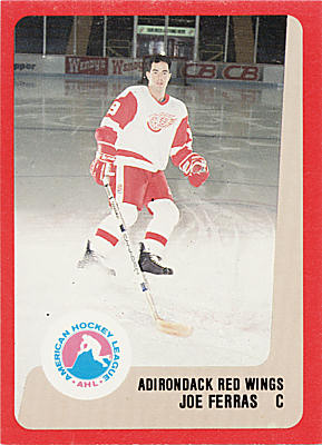 Adirondack Red Wings 1988-89 hockey card image