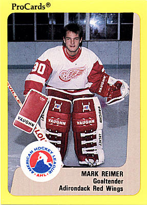 Adirondack Red Wings 1989-90 hockey card image