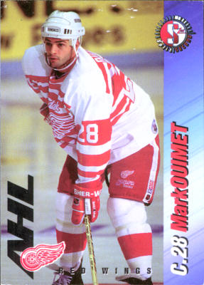 Adirondack Red Wings 1995-96 hockey card image