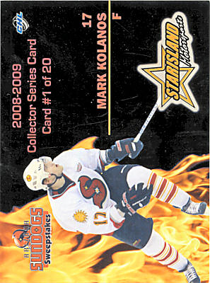 Arizona Sundogs 2008-09 hockey card image