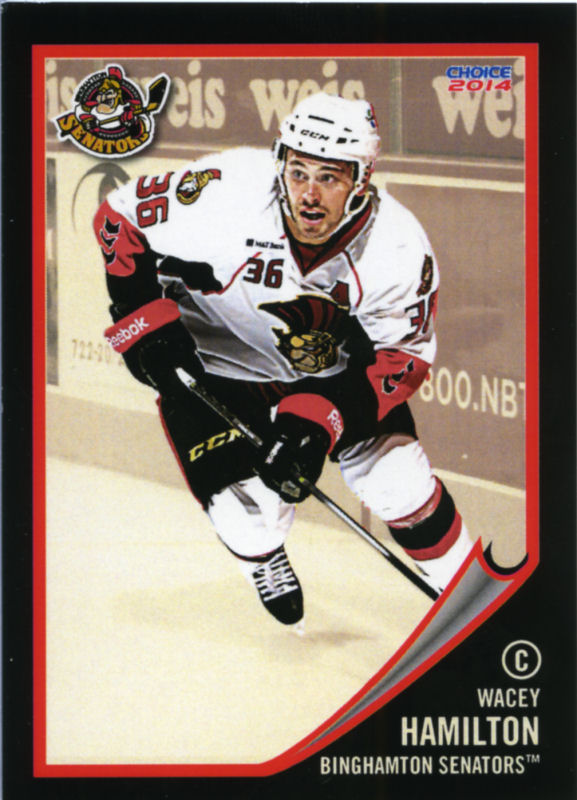 Binghamton Senators 2013-14 hockey card image