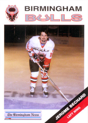 Birmingham Bulls 1993-94 hockey card image
