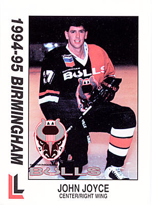 Birmingham Bulls 1994-95 hockey card image