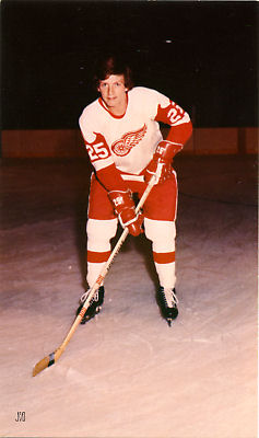 Detroit Red Wings 1973-74 hockey card image