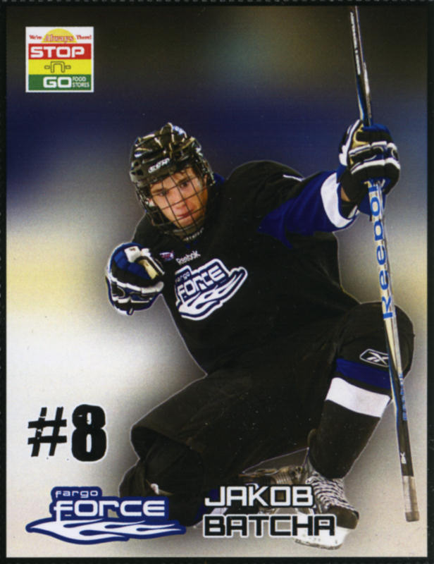 Fargo Force 2010-11 hockey card image