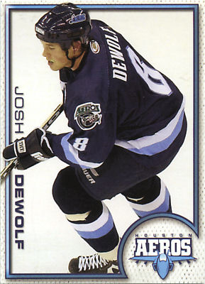 Houston Aeros 2003-04 hockey card image