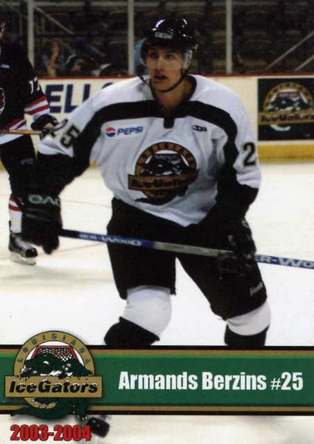 Louisiana Ice Gators 2003-04 hockey card image