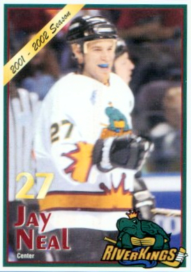 Memphis RiverKings 2001-02 hockey card image