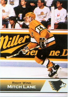 Michigan Tech Huskies 1993-94 hockey card image