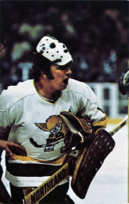 Minnesota Fighting Saints 1974-75 hockey card image