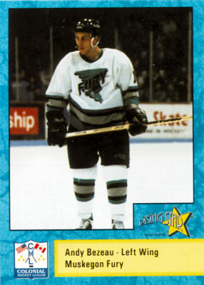 Muskegon Fury 1994-95 hockey card image