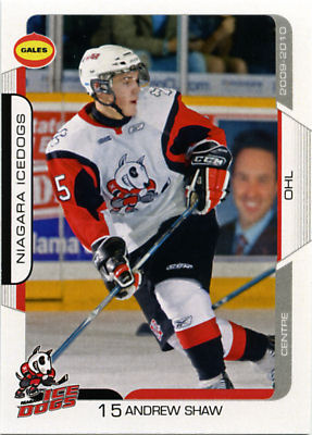 Niagara IceDogs 2009-10 hockey card image