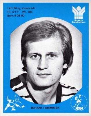 Phoenix Roadrunners 1976-77 hockey card image