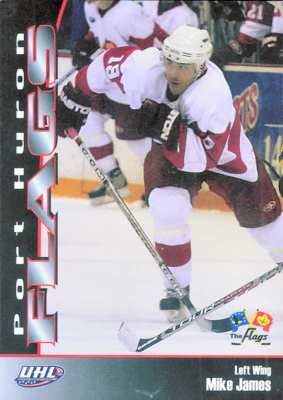 Port Huron Flags 2006-07 hockey card image