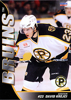 Providence Bruins 2006-07 hockey card image