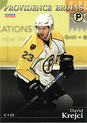 Providence Bruins 2007-08 hockey card image