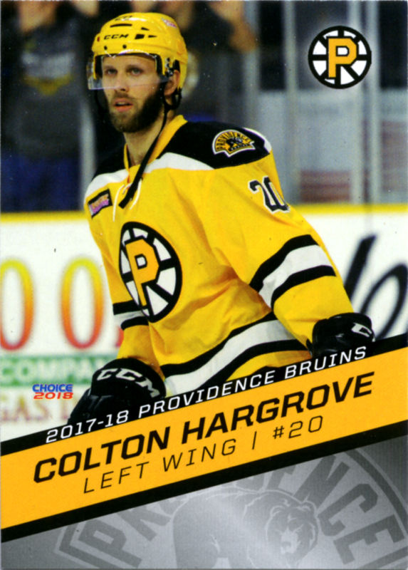 Providence Bruins 2017-18 hockey card image