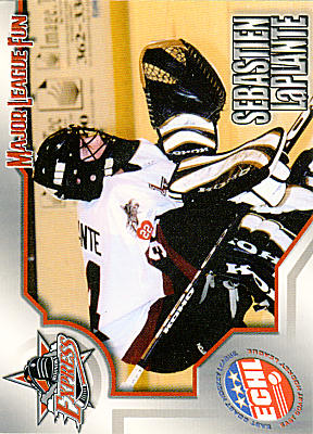 Roanoke Express 2002-03 hockey card image