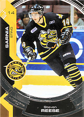 Sarnia Sting 2006-07 hockey card image