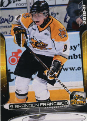 Sarnia Sting 2010-11 hockey card image