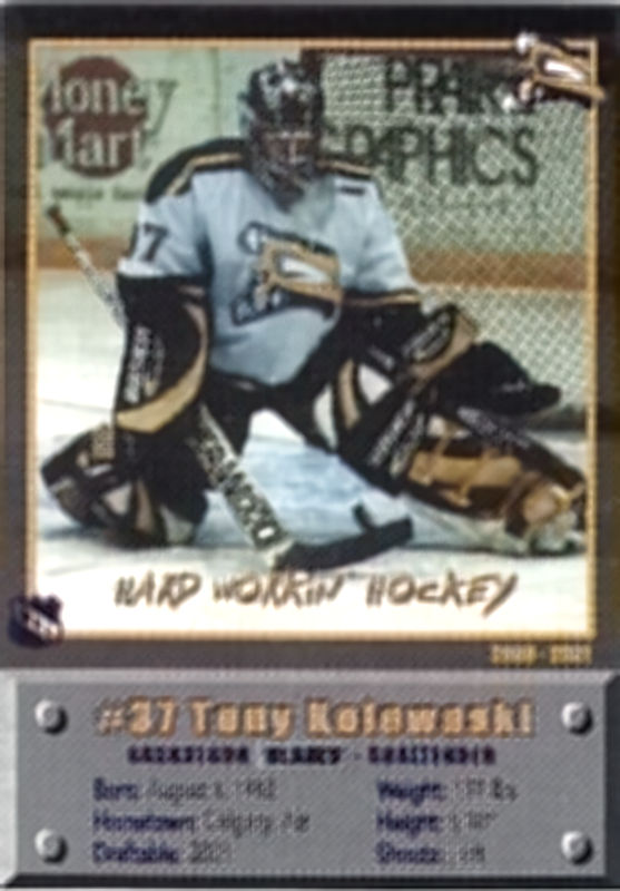 Saskatoon Blades 2000-01 hockey card image