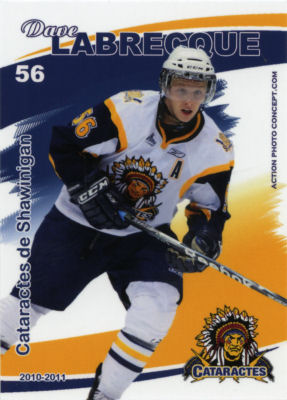 Shawinigan Cataractes 2010-11 hockey card image