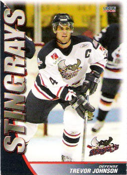 South Carolina Stingrays 2005-06 hockey card image