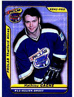 Thetford Mines Prolab 2001-02 hockey card image