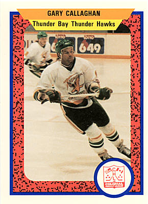 Thunder Bay Thunder Hawks 1991-92 hockey card image