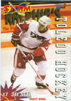 Toledo Storm 1994-95 hockey card image