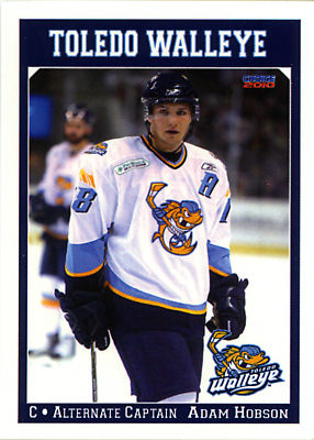Toledo Walleye 2009-10 hockey card image