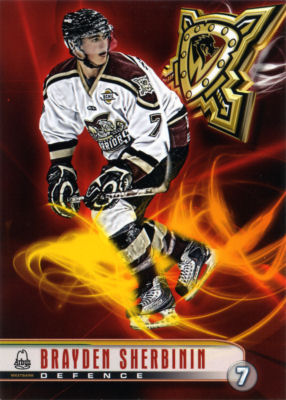 Westside Warriors 2010-11 hockey card image