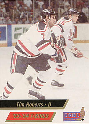 Wheeling Thunderbirds 1993-94 hockey card image