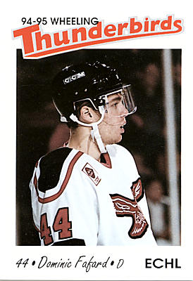 Wheeling Thunderbirds 1994-95 hockey card image