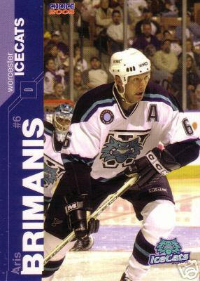 Worcester IceCats 2004-05 hockey card image
