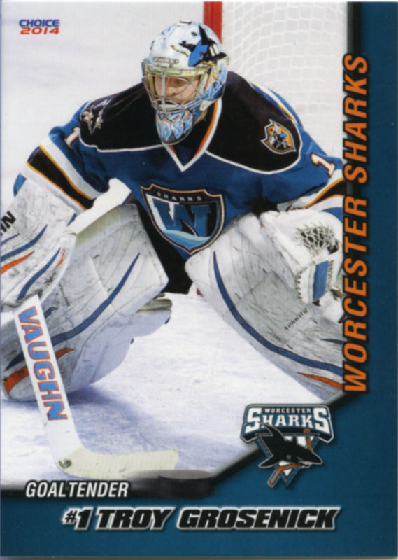 Worcester Sharks 2013-14 hockey card image
