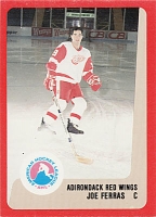 1988-89 Adirondack Red Wings