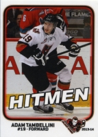 2013-14 Calgary Hitmen