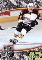 2007-08 Chicago Wolves