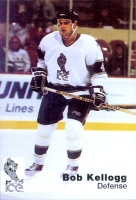 1993-94 Indianapolis Ice