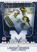 2011-12 Michigan Wolverines