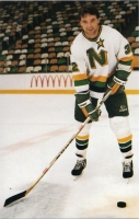 1983-84 Minnesota North Stars