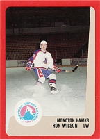 1988-89 Moncton Hawks