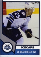 2013-14 St. John's IceCaps