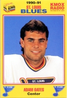 1990-91 St. Louis Blues