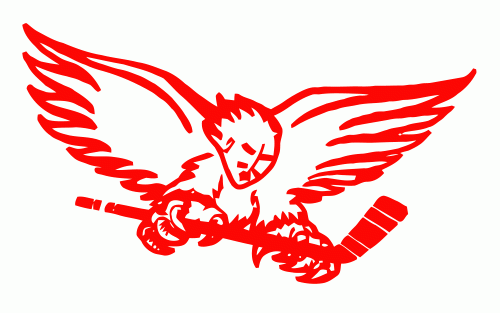 Carolina Thunderbirds 1987-88 hockey logo of the AAHL