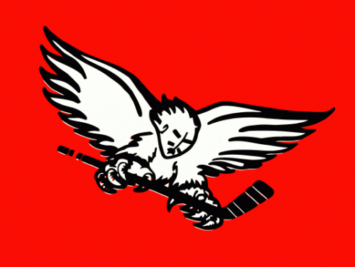 Carolina Thunderbirds 1983-84 hockey logo of the ACHL