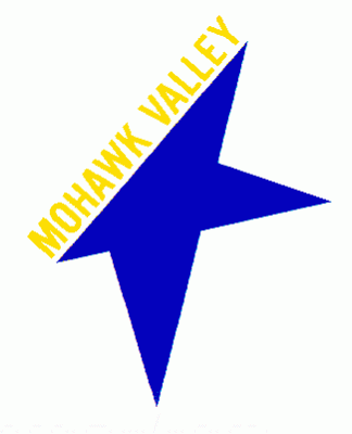 Mohawk Valley Stars 1982-83 hockey logo of the ACHL