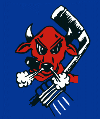 Billings Bulls 1995-96 hockey logo of the AFHL