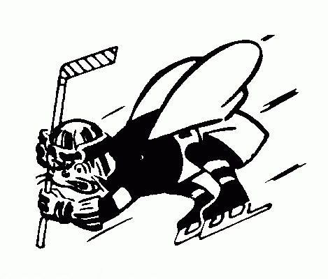 Pittsburgh Hornets 1965-66 hockey logo of the AHL